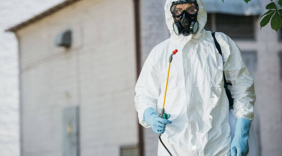 Professional pest control services in Arlington, Tx - Pest Control Arlington Tx